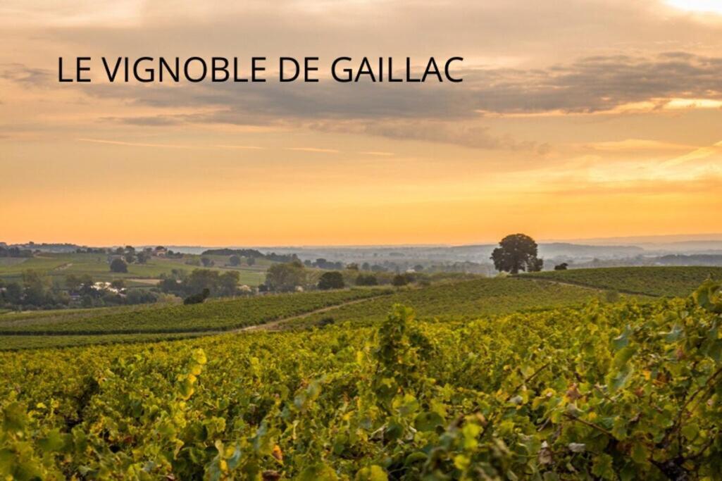 Jolie Maison - Calme - Jardin - Gaillac Luaran gambar